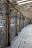 DPP_0004_web