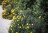 DPP_0010_web