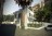 Sardi_04